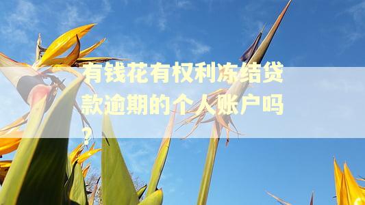 有钱花有权利冻结贷款逾期的个人账户吗?