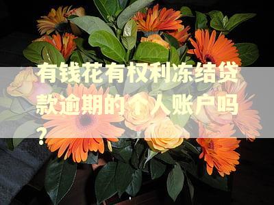 有钱花有权利冻结贷款逾期的个人账户吗?