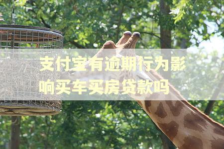 支付宝有逾期行为影响买车买房贷款吗