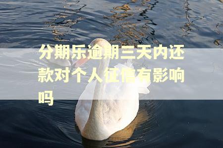 分期乐逾期三天内还款对个人征信有影响吗 分期乐逾期三天内还款对个人征信有影响吗