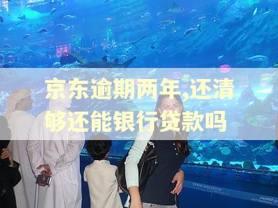 京东逾期两年,还清够还能银行贷款吗