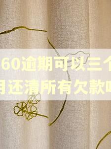 360逾期可以三个月还清所有欠款吗