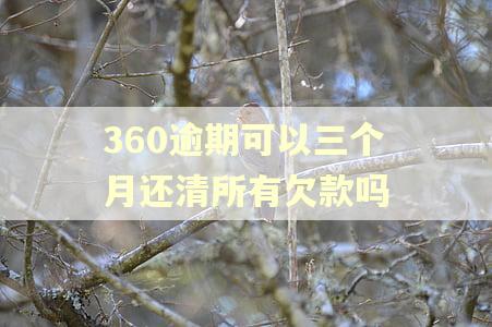 360逾期可以三个月还清所有欠款吗