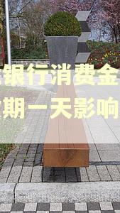 兴业银行消费金融贷款逾期一天影响征信吗
