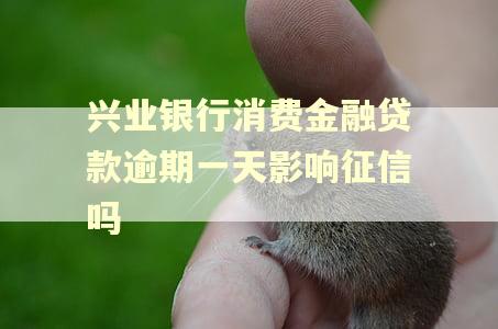 兴业银行消费金融贷款逾期一天影响征信吗