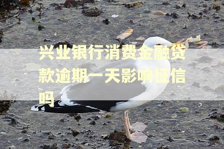 兴业银行消费金融贷款逾期一天影响征信吗