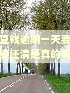 豆豆钱逾期一天要求全额还清是真的吗