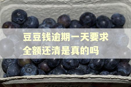 豆豆钱逾期一天要求全额还清是真的吗
