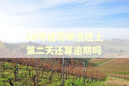20号还花呗没还上第二天还算逾期吗