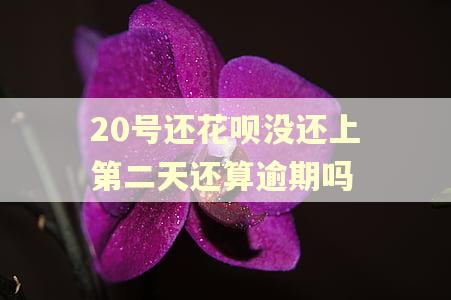20号还花呗没还上第二天还算逾期吗