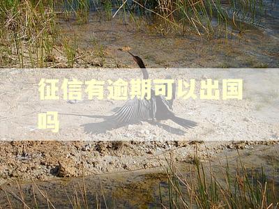 征信有逾期可以出国吗