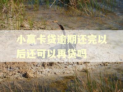 小赢卡贷逾期还完以后还可以再贷吗