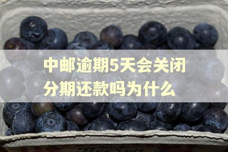中邮逾期5天会关闭分期还款吗为什么 中邮逾期5天会关闭分期还款吗为什么