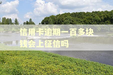 信用卡逾期一百多块钱会上征信吗