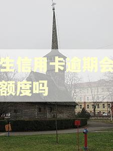 民生信用卡逾期会降低额度吗