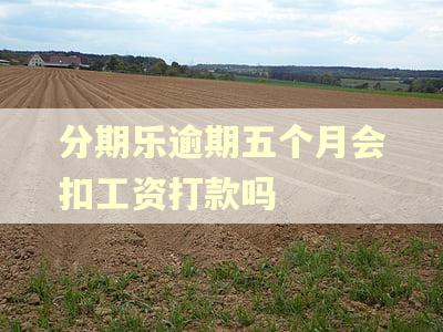 分期乐逾期五个月会扣工资打款吗