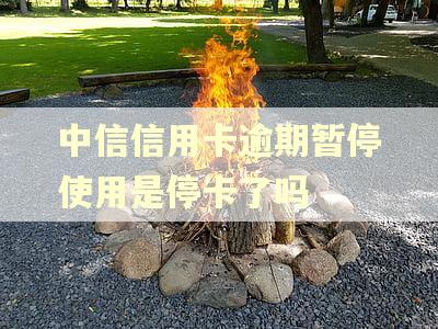 中信信用卡逾期暂停使用是停卡了吗
