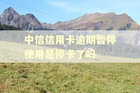 中信信用卡逾期暂停使用是停卡了吗