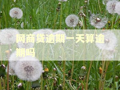 网商贷逾期一天算逾期吗