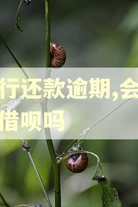 银行还款逾期,会影响借呗吗
