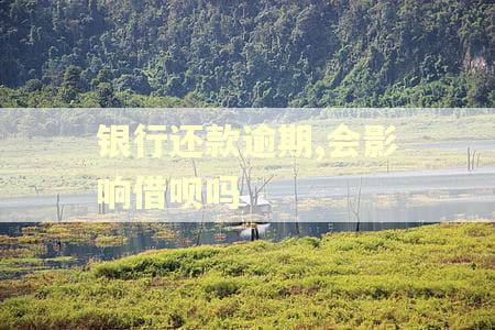 银行还款逾期,会影响借呗吗 银行还款逾期,会影响借呗吗