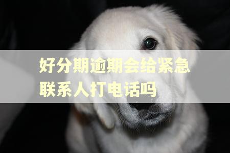 好分期逾期会给紧急联系人打电话吗