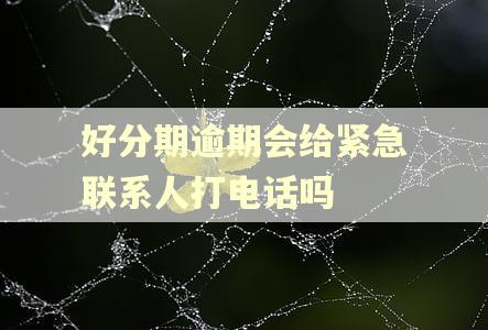 好分期逾期会给紧急联系人打电话吗