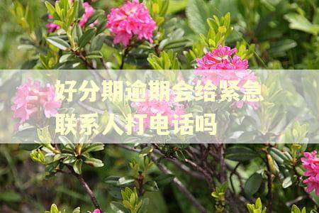 好分期逾期会给紧急联系人打电话吗