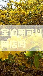 支付宝逾期可以在淘宝开网店吗
