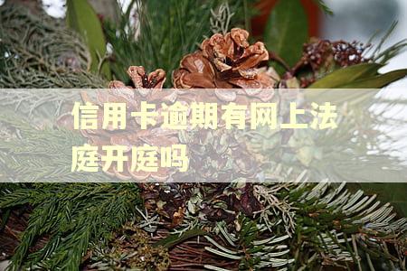 信用卡逾期有网上法庭开庭吗
