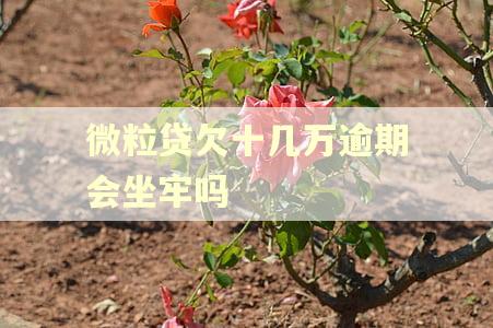 微粒贷欠十几万逾期会坐牢吗