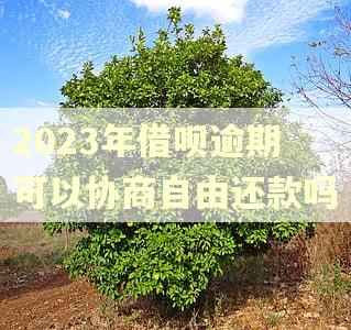 2023年借呗逾期可以协商自由还款吗