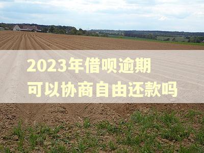 2023年借呗逾期可以协商自由还款吗