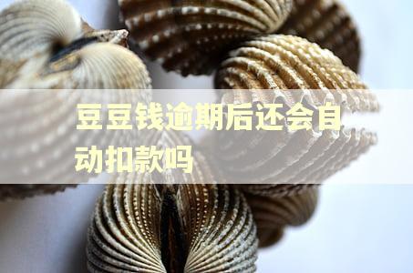 豆豆钱逾期后还会自动扣款吗