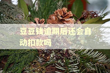 豆豆钱逾期后还会自动扣款吗 豆豆钱逾期后还会自动扣款吗