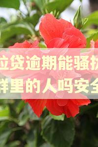微粒贷逾期能骚扰微信群里的人吗安全吗