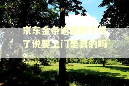 京东金条逾期两个月了说要上门是真的吗?