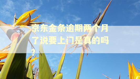 京东金条逾期两个月了说要上门是真的吗?