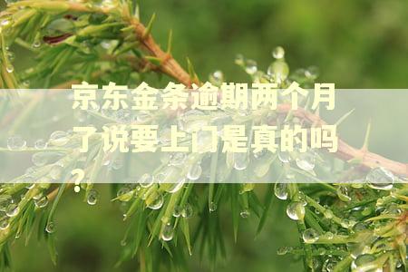 京东金条逾期两个月了说要上门是真的吗?