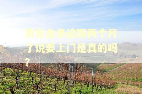 京东金条逾期两个月了说要上门是真的吗? 京东金条逾期两个月了说要上门是真的吗?