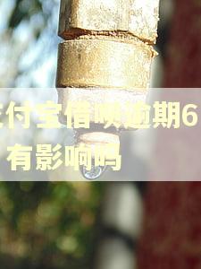 支付宝借呗逾期6个月有影响吗