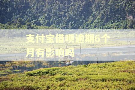 支付宝借呗逾期6个月有影响吗