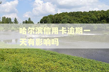 哈尔滨信用卡逾期一天有影响吗