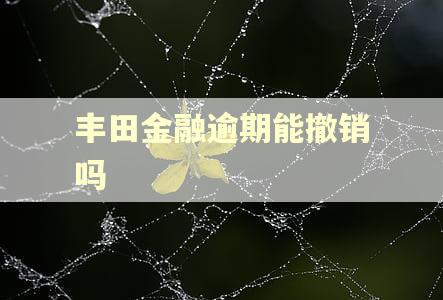 丰田金融逾期能撤销吗