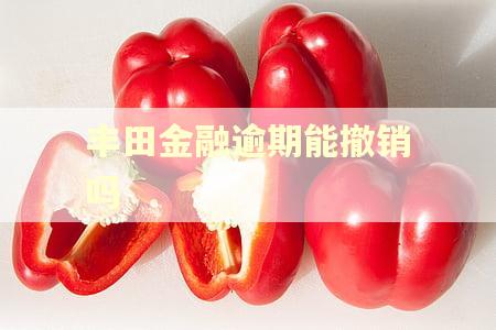 丰田金融逾期能撤销吗
