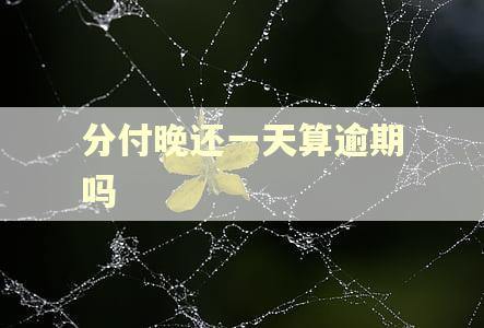 分付晚还一天算逾期吗