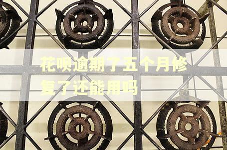 花呗逾期了五个月修复了还能用吗