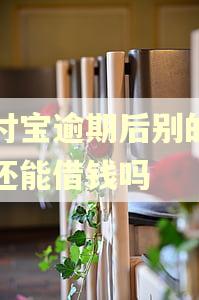 支付宝逾期后别的平台还能借钱吗