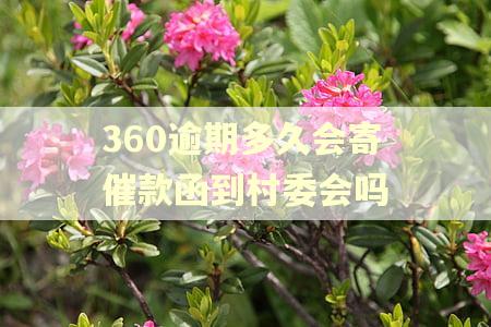 360逾期多久会寄催款函到村委会吗 360逾期多久会寄催款函到村委会吗