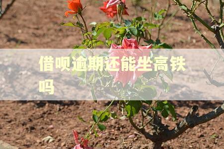 借呗逾期还能坐高铁吗